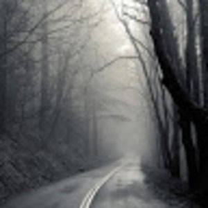 Meet your Posher, Isaac